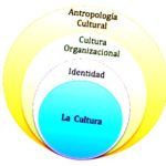 Cultura organizacional es parte importante del estudio empresarial en la actualidad