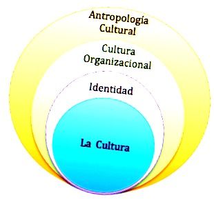 Cultura organizacional es parte importante del estudio empresarial en la actualidad